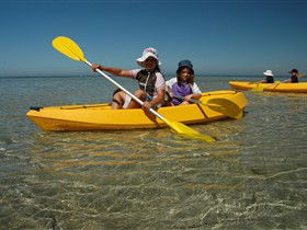 Ceduna Shelly Beach Caravan Park And Beachfront Villas - Accommodation Newcastle 3