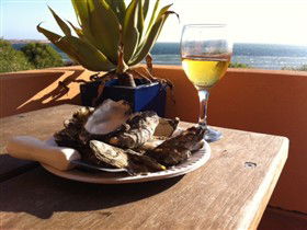 Ceduna Shelly Beach Caravan Park And Beachfront Villas - Accommodation Newcastle 4