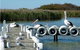 Milang Lakeside Caravan Park - thumb 1