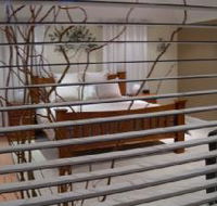 One Tree Bed and Breakfast - Accommodation Newcastle