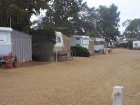 Pine Point Caravan Park - Accommodation Newcastle 2