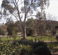 Settlers Cottage - Accommodation Newcastle