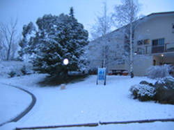 Aalberg Chalet - Accommodation Newcastle 4