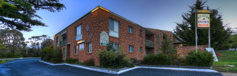 Acacia Snowy Motel - Accommodation Newcastle 6