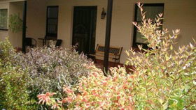 Cotton Palm Cottage - Accommodation Newcastle 4
