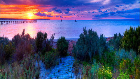 Marion Bay Caravan Park - Accommodation Newcastle 1