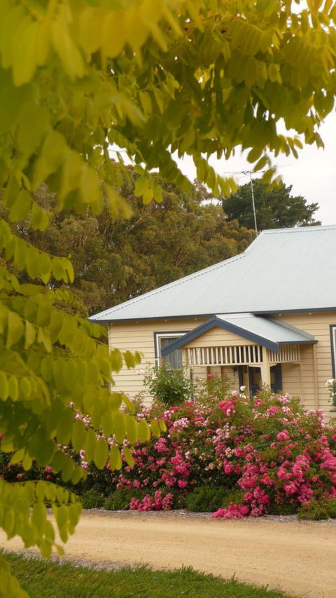 Amor Of Red Hill - Accommodation Newcastle 5