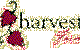 Harvest Farm - thumb 3