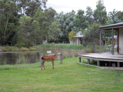 Grampians Chalets - Accommodation Newcastle 3