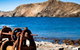 Cockatoo View - thumb 4