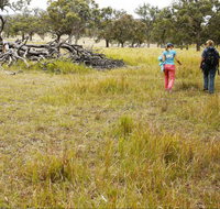 Carnarvon National Park camping - Accommodation Newcastle