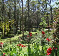 Werekataba - Accommodation Newcastle