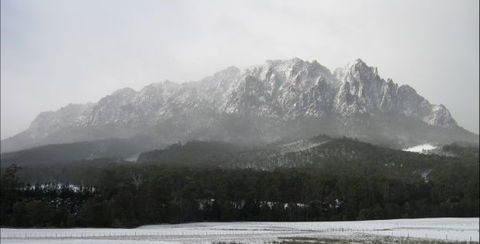 55 Acres Retreat - Accommodation Newcastle 4