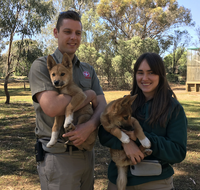 Kyabram Fauna Park