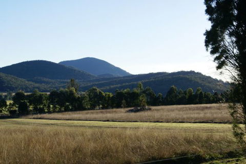 Baerami Pines Hunter Valley Retreat - Accommodation Newcastle 7