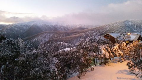 Cedarwood Apartments - Accommodation Newcastle 1