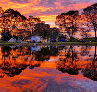 Coonawarra Bush Holiday Park - Accommodation Newcastle