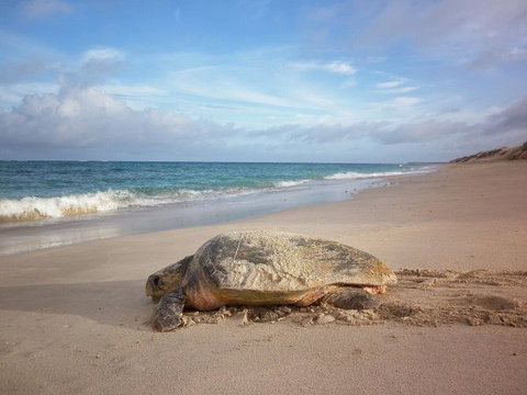 Gnaraloo Station - Accommodation Newcastle 9