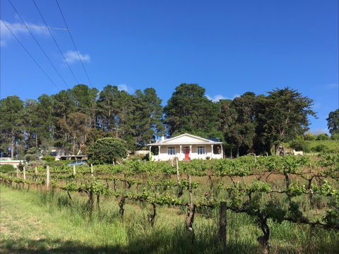 Karawatha Cottages B&B - Accommodation Newcastle 1