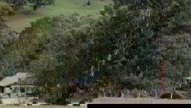 Bungaree SA Accommodation Newcastle
