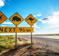 Nullarbor Roadhouse - Accommodation Newcastle