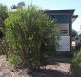 Loxton Smiffy's Bed And Breakfast Coral Street - Accommodation Newcastle