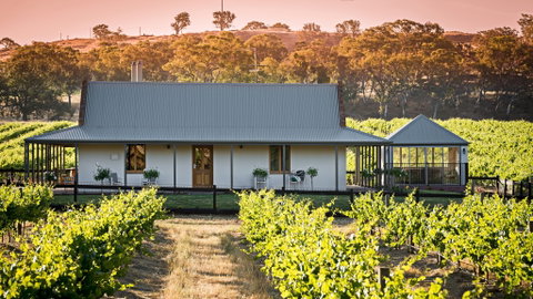 Brockenchack Vineyard Bed & Breakfast - Accommodation Newcastle 0