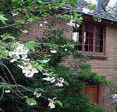 Crafers Cottages - Cherrytree Cottage - Accommodation Newcastle