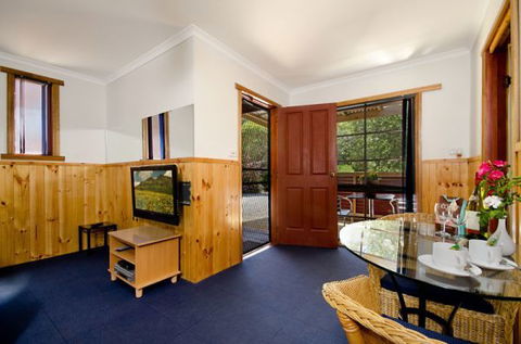 Ocean Grove Cedar Cabins - Accommodation Newcastle 5