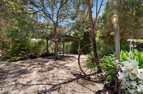 Ocean Grove Cedar Cabins - Accommodation Newcastle 8