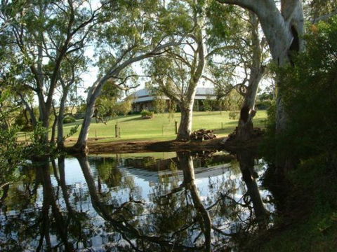 Oliver's White Hill Bed And Breakfast - Accommodation Newcastle 2