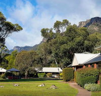Pinnacle Holiday Lodge - Accommodation Newcastle