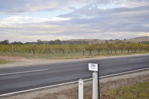 Almond Tree Cottage - Accommodation Newcastle 5