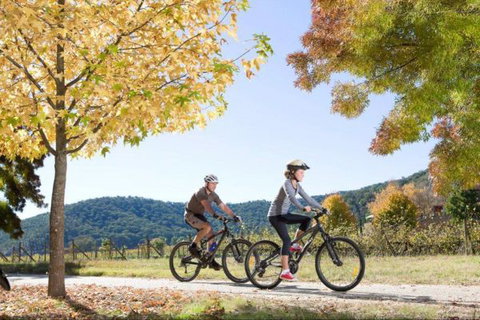 Bright Freeburgh Caravan Park - Accommodation Newcastle 1