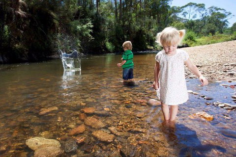 Bright Freeburgh Caravan Park - Accommodation Newcastle 3