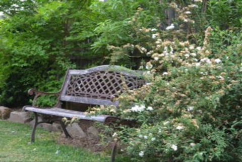 Garden Cottage B And B - Accommodation Newcastle 4