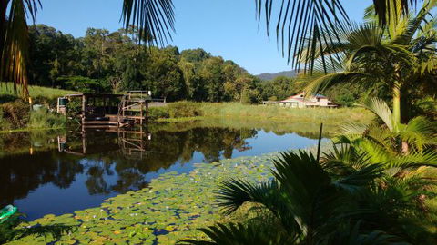 Hosanna Farmstay - Accommodation Newcastle 0