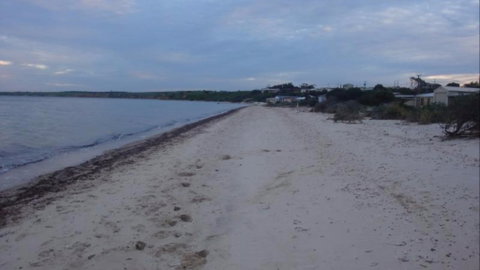 Samuel's Shack - Accommodation Newcastle 6