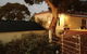 The Schoolmaster's - Second Valley Accommodation - thumb 4