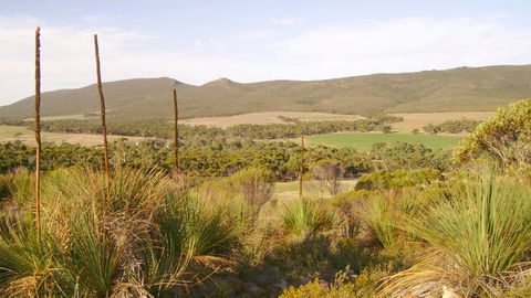 Nyroca Campsite & Group Accommodation - Accommodation Newcastle 0