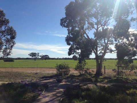 Muntiri Lodge Eco Retreat - Accommodation Newcastle 8
