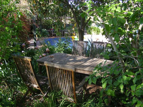 Palm Haven Bed And Breakfast - Accommodation Newcastle 9