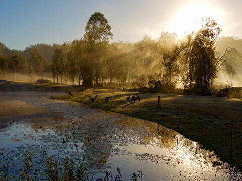 Ramada Resort Kooralbyn Valley - Accommodation Newcastle 6