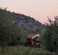 Shacky in the Olive Grove - Accommodation Newcastle