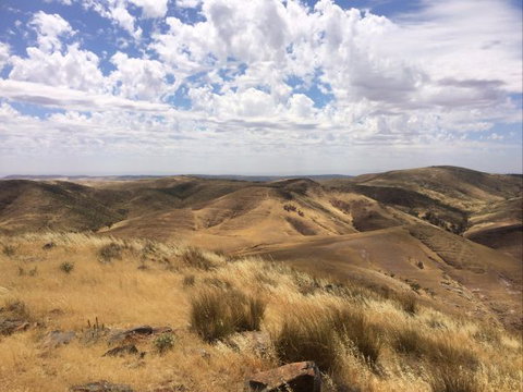 Wilkatana Station - Accommodation Newcastle 4