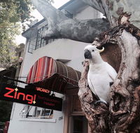 Zing Backpackers Hostel - Accommodation Newcastle