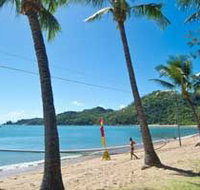 Visit Magnetic Island - Accommodation Newcastle