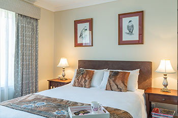 Austin Rise B&B - Accommodation Newcastle 1