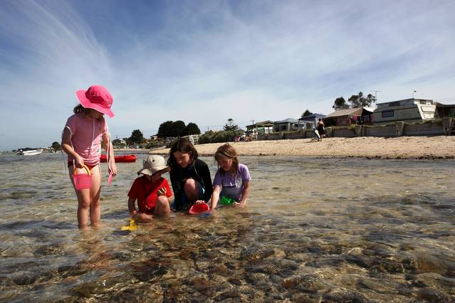 Indented Head VIC Accommodation Newcastle