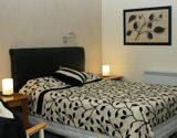 Bermagui Motor Inn - Accommodation Newcastle 1